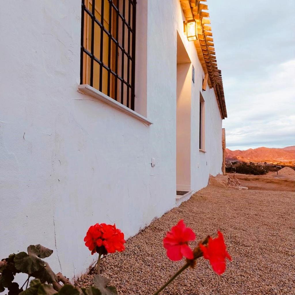 Casa Vacaciones Almadraba Cabo Cope Águilas Exterior foto